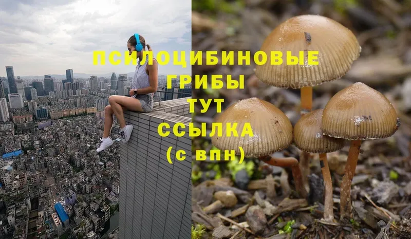 Псилоцибиновые грибы Magic Shrooms  дарнет шоп  omg онион  Верхняя Тура 